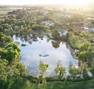 dLocal Connect Partner Edition: South Africa dLocal Connect Partner Edition: South Africa